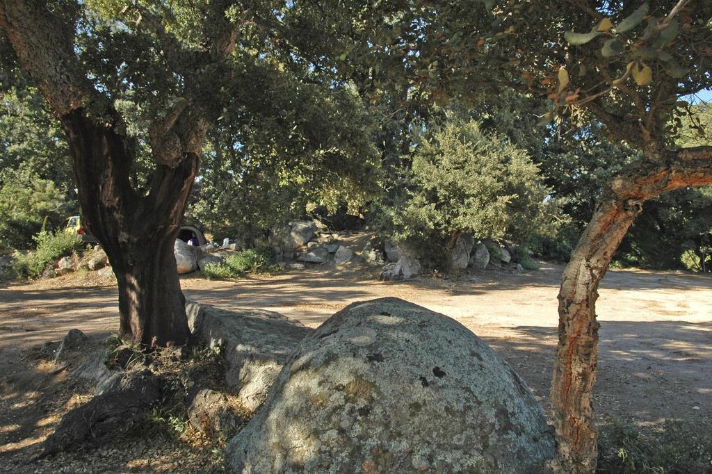Camping Pezza Cardo Porto-Vecchio  Eksteriør billede